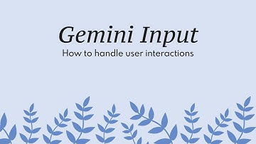 Gemini Input