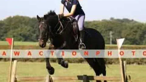 Danny Boy and Harriet Price