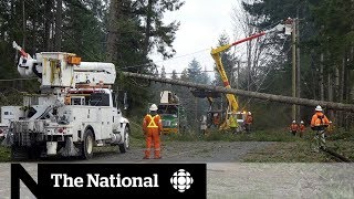 B.C. windstorm cleanup continues, thousands without power
