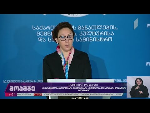 ეკატერინე დგებუაძის ბრიფინგი