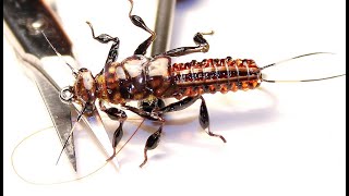 видео: Вязание мушек с УФ-гель лаком картинка: Вязание мушек с УФ-гель лаком