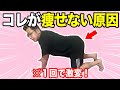 【カエル足バンザイ30秒】反り腰解消してウエスト激痩せ！お腹痩せストレッチ