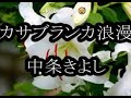 カサブランカ浪漫 中条きよし 9月7日発売