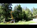 Trimming Trees with Man Lift