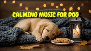 Calming Music for Dogs Left Home Alone 🐶💤 | 12 HOURS of Relaxing Sounds for Peaceful Rest