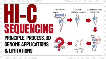 Hi-C Sequencing Explained | 3D Genome Structure, Process & Applications