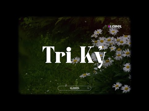Lofi Acoustic: TRI KỶ (Lofi Ver) - HUYỀN ZOE | Là một người sẽ thấy vui khi anh cười...
