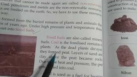 CLASS IV EVS CHAPTER 10 BY SIMRAN MAM PART 2