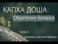 Капха Доша: Обретение Баланса. Часть 4. Аюрведа для начинающих.