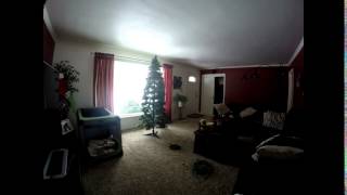 Take down Christmas tree time lapse