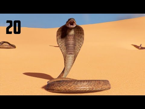 Descobrimos quem é a SERPENTE - Assassin's Creed Origins - #20