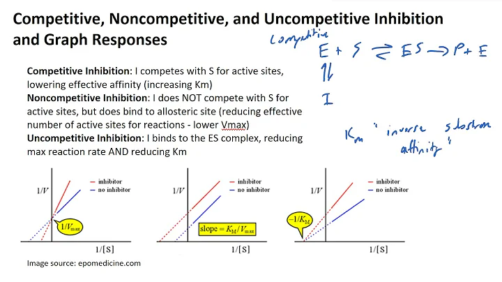 Competitive, Noncompetitive, and Uncompetitive Inhibition and Graph Responses