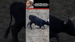 States Attorney Protects Animal Abusers!!!