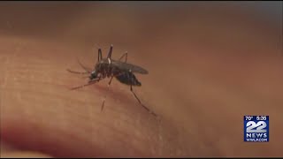 Springfield mosquito tested positive for West Nile Virus