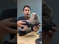 Sepatu Gunung Lavio Axel