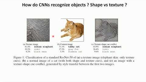 Các kiến trúc CNN hiện nay đang phụ thuộc vào loại features nào ? "Texture" hay là "Shape"