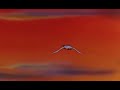 The End Walt Disney Productions The Rescuers 1977 The End Walt Disney Productions The Rescuers 1977