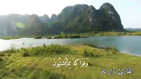 ما تيسر من سورة المرسلات القارئ نزار تتر