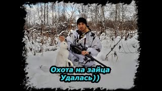 Download lagu Охота на зайца Удачная Беляк Охота на зайца Удачная Беляк