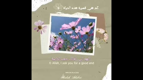 اللهم إني أسالك حسن الخاتمة - القارئ إسلام صبحي | حالات واتس اب