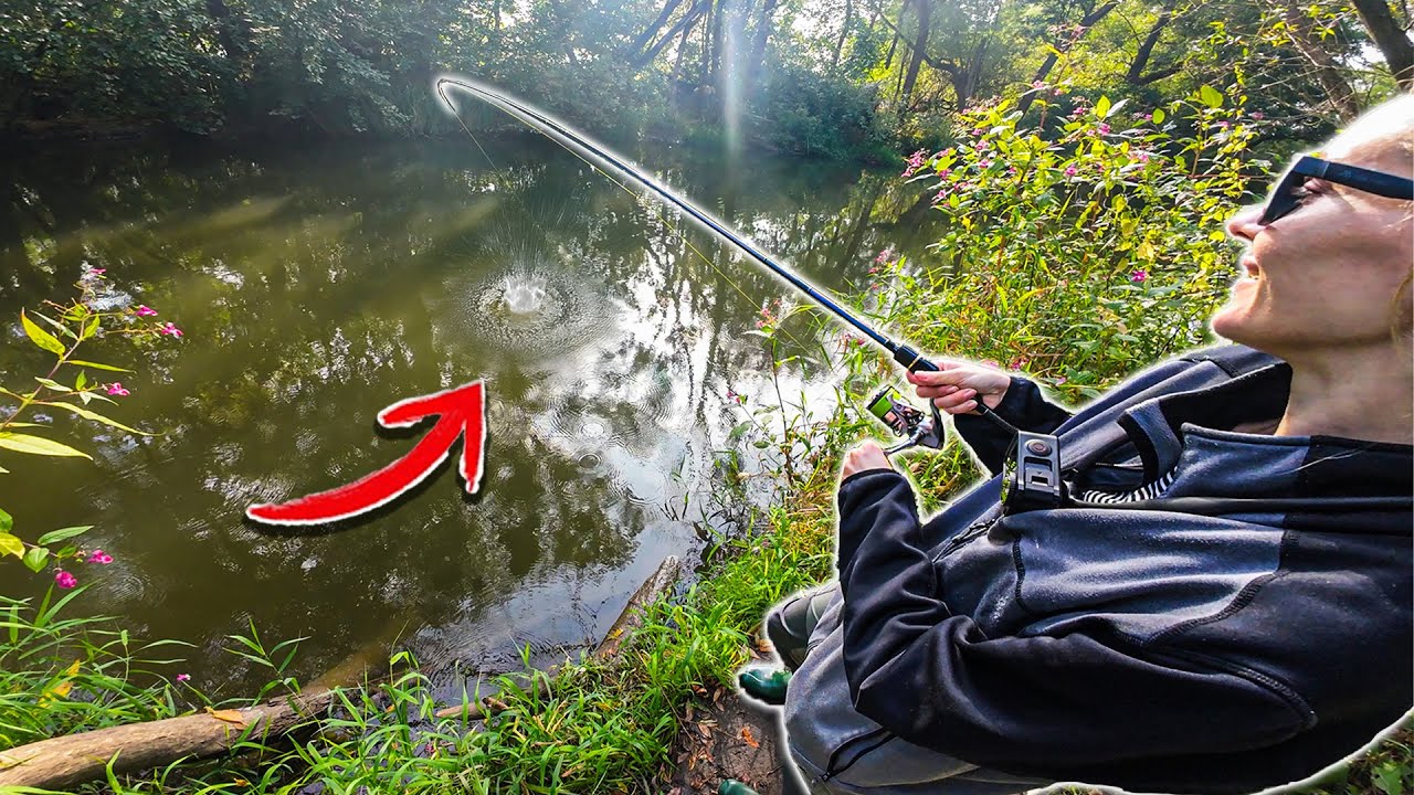 Velká štika na malém potoce v lese! Lov dravců na přívlač na podzim.