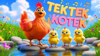TEK KOTEK ANAK AYAM | ANAK KUCING | LAGU ANAK BALITA POPULER | LAGU ANAK FAVORIT TERBARU 2025