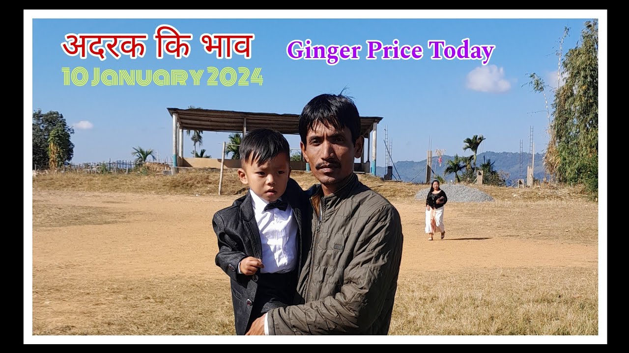 Adrak Ki Bhav 65 /kg 10 January 2024 Ginger Rate Today rubul