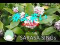 『春よ来い』　松任谷由実　　　covered by SARASA