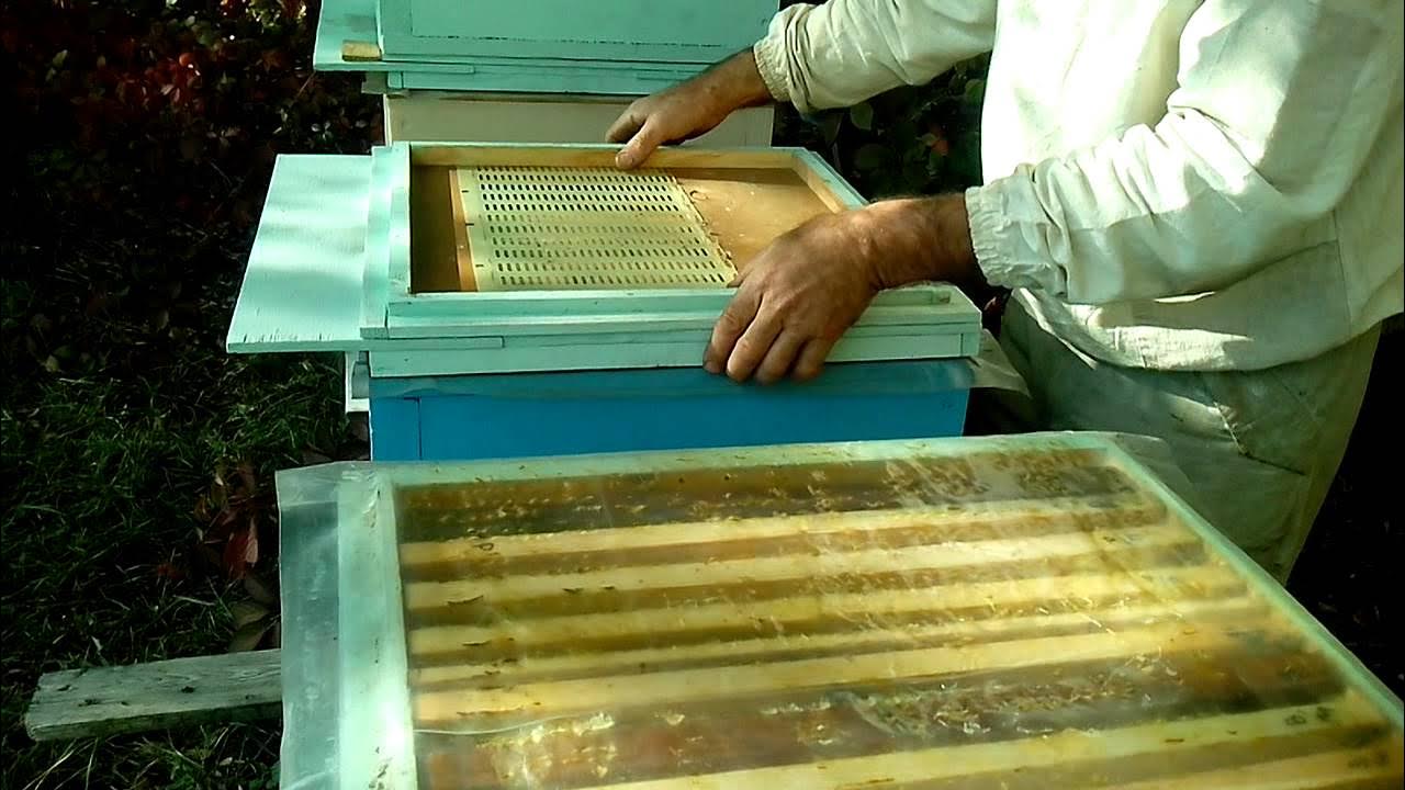 Объединение пчелосемей перед главным взятком. Как объединить пчелосемьи. Как объединить пчел осенью. Как объединить пчел осенью. Как объединить пчел осенью.