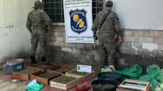 Hallaron un laboratorio de "Marihuana Vip"