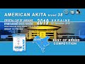 AMERICAN AKITA | BOB &amp; BOS | CACIB DOG SHOW - IDS CRYSTAL CUP OF UKRAINE | 08 dec 2019