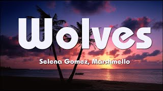 Selena Gomez, Marshmello - Wolves (Lyrics) | Alan Walker, Ellie Goulding, LIFTY FIFTY...Mix