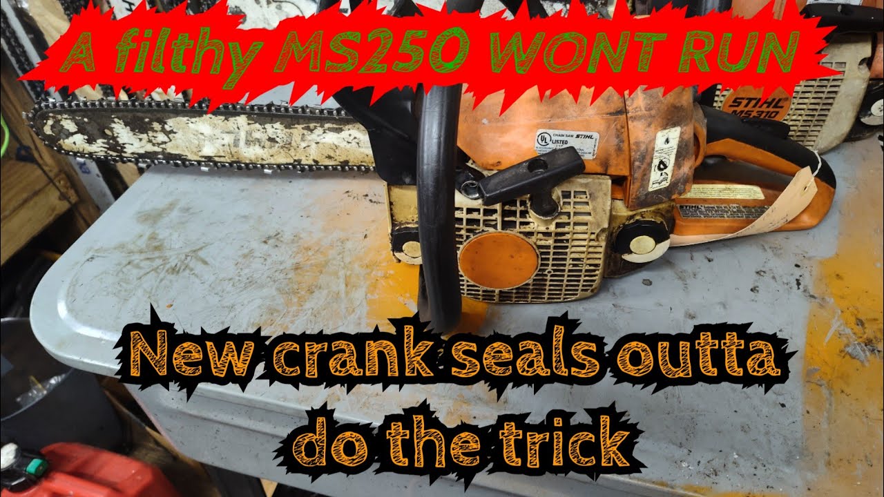 Stihl MS250 crankshaft seals replaced #chainsaws #persevere # ...