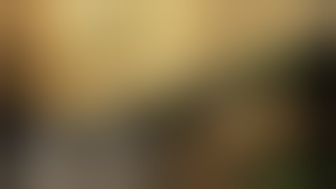 Numis Network has NO COMPATITION R.E.M. #1 TRUE SOURCE $$$