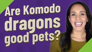Are Komodo dragons good pets?
