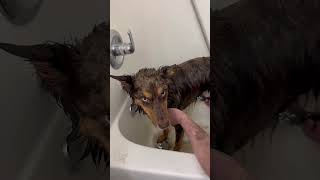 👉 I Was SET UP… I Didn’t Even Realize It 😳