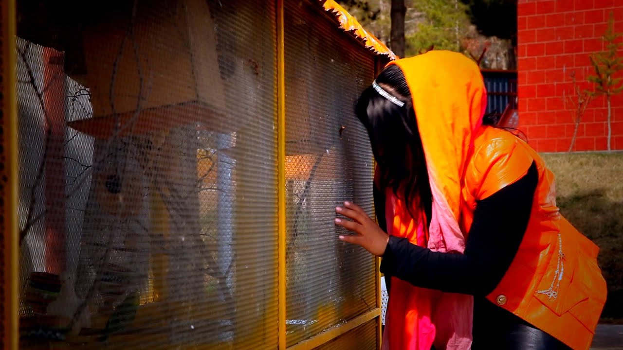 Amad Zia Rashidi New Song khaista anjli 2014