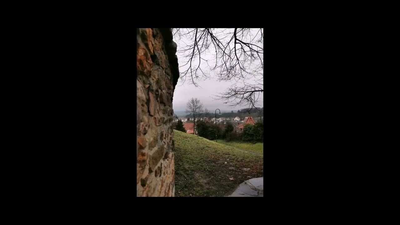 A short video of Munzenberg