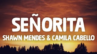 Shawn Mendes, Camila Cabello - Señorita (Lyrics)