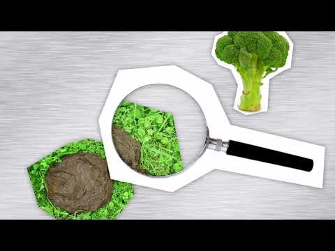 Wageningen Food Safety Research | Historie | Nederlands