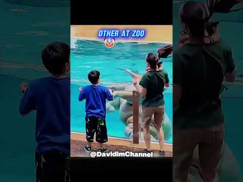 OTHER ANIMALS AT THE ZOO VS THE LAST MOST FEARSOME ONE! 😱