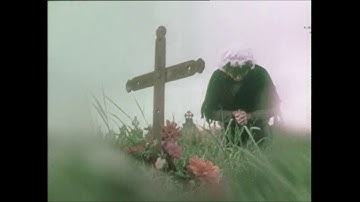 Was Biddy Early a Witch or a Fairy?