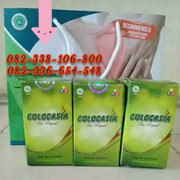 Colocasia tea kapsul || Colocasia asli 082338106800 Colocasia obat nyeri sendi