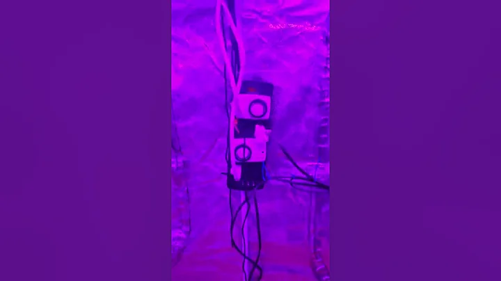 grow tent