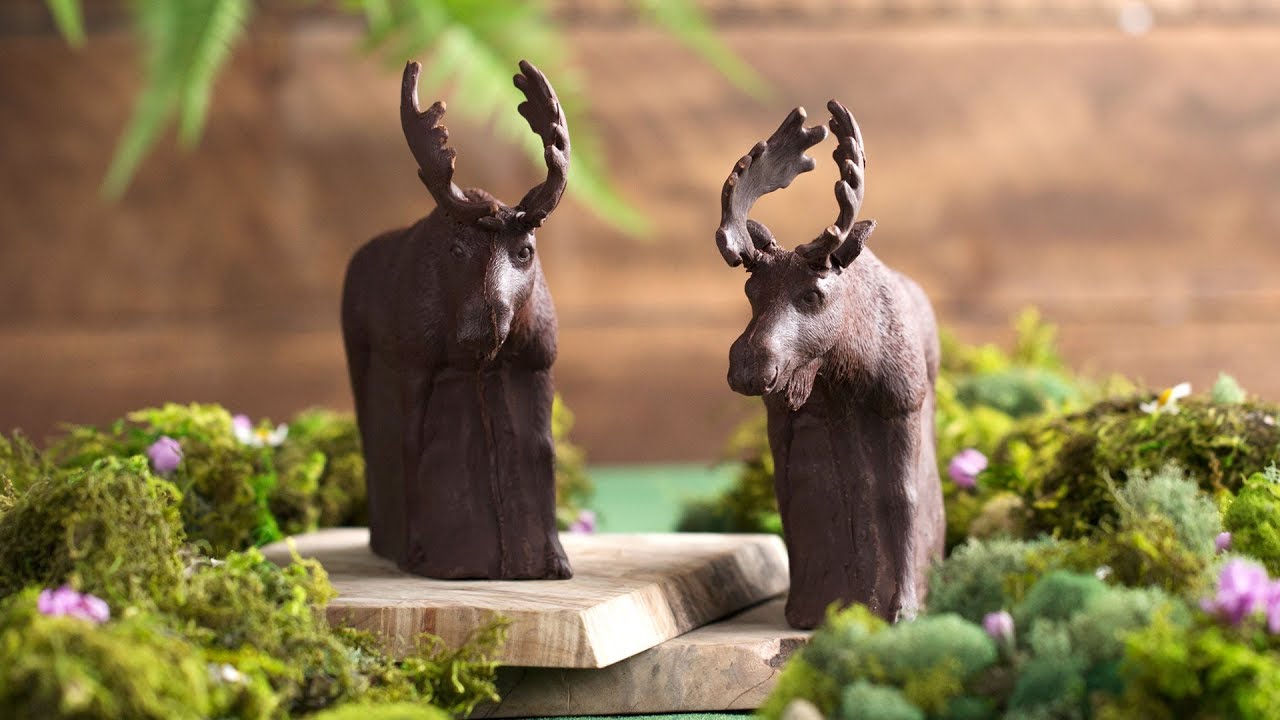 Chocolate Mousse Moose - YouTube