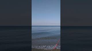 Черное море (1)