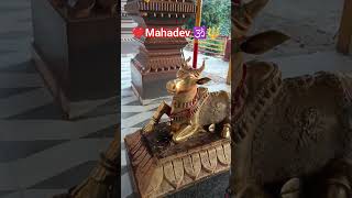 mahadev temple in himachal pradesh || mahadev temple baglamukhi mandir #youtubeshorts #shortsvideo #