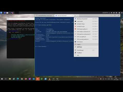 Play Kali Linux in WSL2 on Windows 10