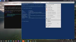 Play Kali Linux in WSL2 on Windows 10