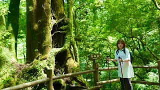 ⁣【温泉女子】世界自然遺産の島で屋久杉を堪能からの高級リゾートプールで水着レポート　もののけ姫の聖地　Luxury  Open-air bath #hotspring #japan #airpanas